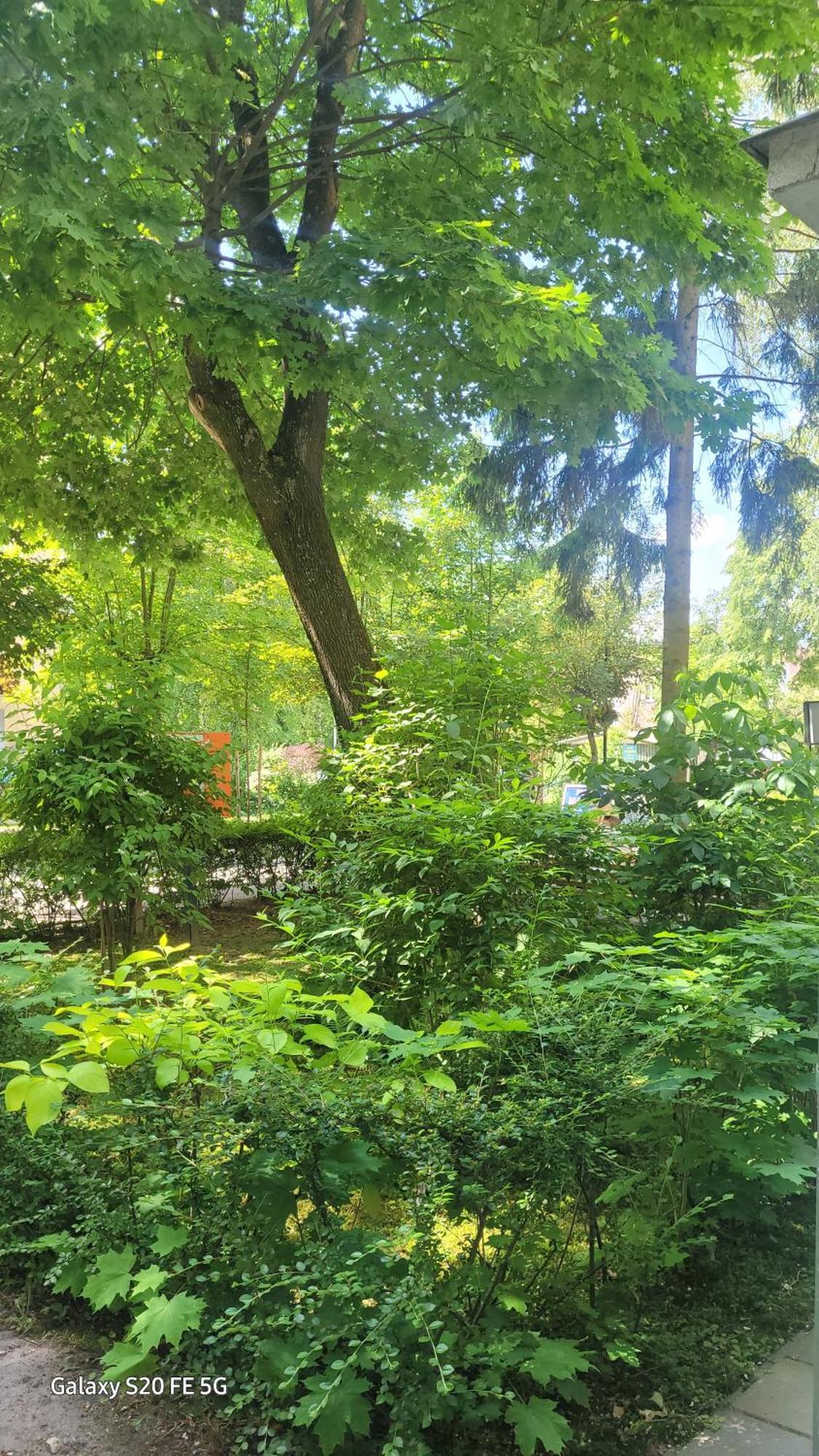 Apartament Przy Parku Nałęczów 外观 照片
